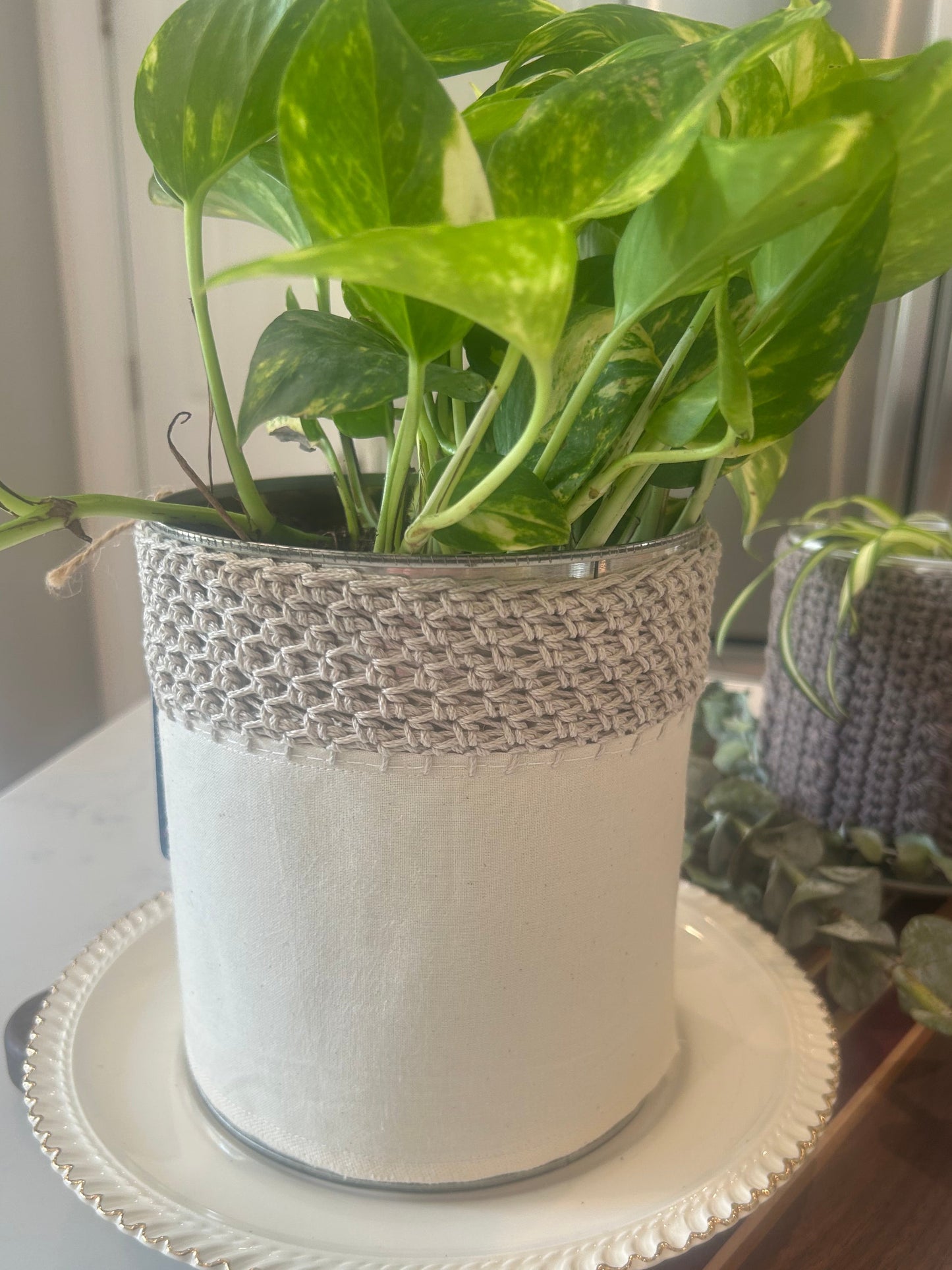 Sunday Dinner Planter with plant